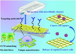 J MATER CHEM B：用于癌症细胞捕获的功能性电纺纳米纤维的设计