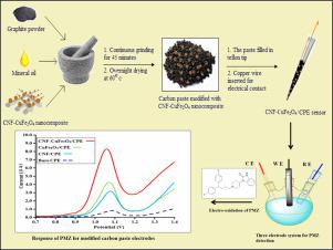 J. Electroanal. Chem.：铜铁氧体修饰碳纳米纤维用作传感器