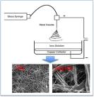 J APPL POLYM SCI：湿态下电纺海藻酸纤维和海藻酸-透明质酸复合纤维