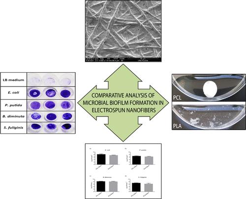 ACS Appl. Mater. Interfaces：聚己内酯微纤维作为生物技术相关细菌生物膜载体的分析