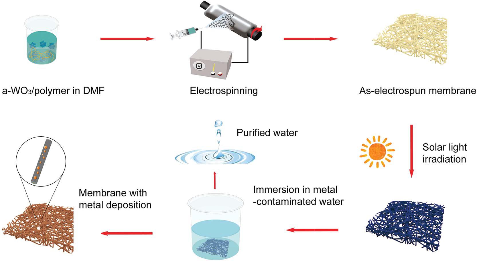 J Mater Chem A：用于水净化和贵金属回收的电纺a-WO3/PAN纳米纤维膜