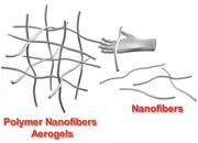 MACROMOL RAPID COMM:聚合物纳米纤维制备气凝胶及其应用