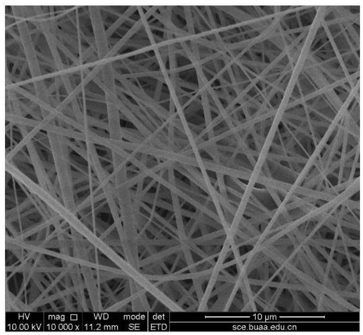 图3 乳液分离膜醋酸纤维素纤维膜表面放大10000倍形貌扫描电镜照片.