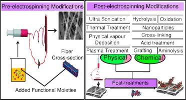 European Polymer Journal：聚合物纳米纤维的后处理接枝方法的最新进展